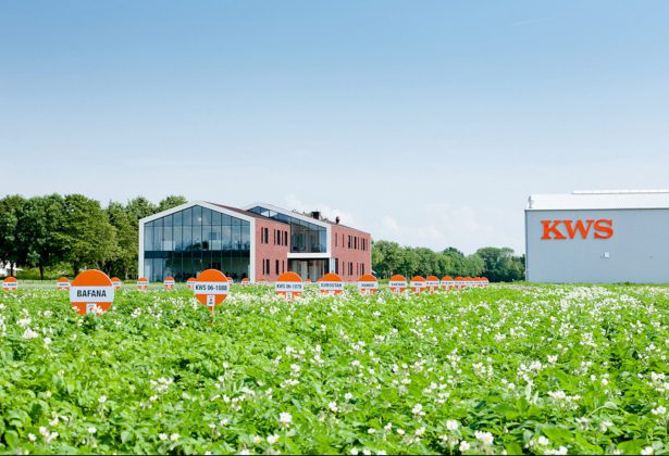 KWS POTATO B.V.